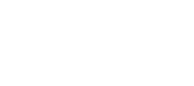 Aquile in automobili